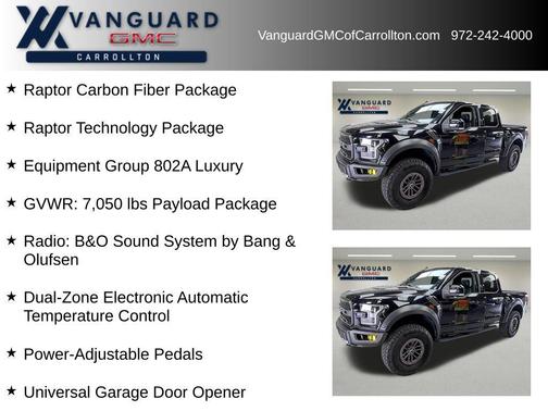 Black Metallic 2019 Ford F-150 Raptor