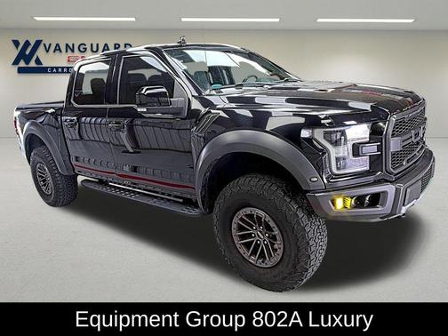 Black Metallic 2019 Ford F-150 Raptor