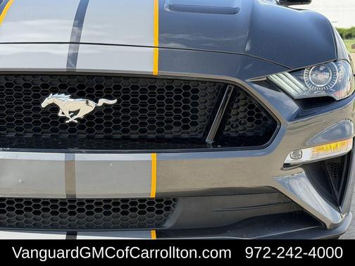 Magnetic 2018 Ford Mustang GT
