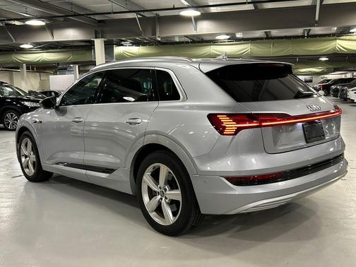 Florett Silver Metallic 2019 Audi e-tron Premium Plus