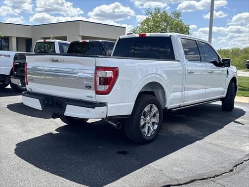 2021 Ford F-150 Platinum