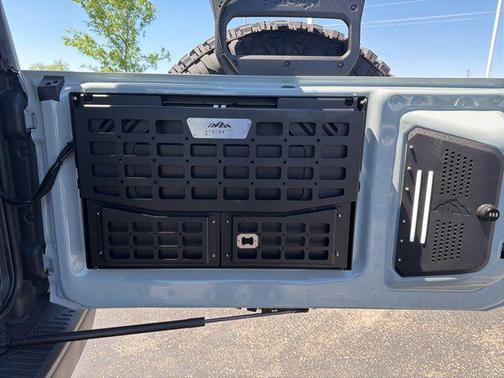 Cactus 2024 Ford Bronco Raptor