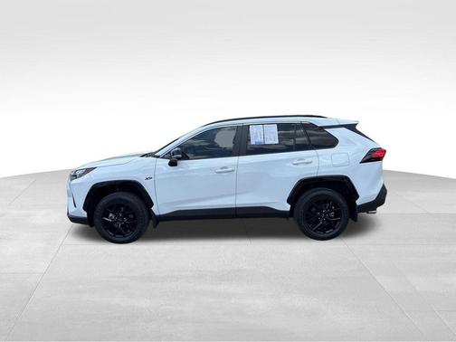 Ice Cap 2024 Toyota RAV4 XLE
