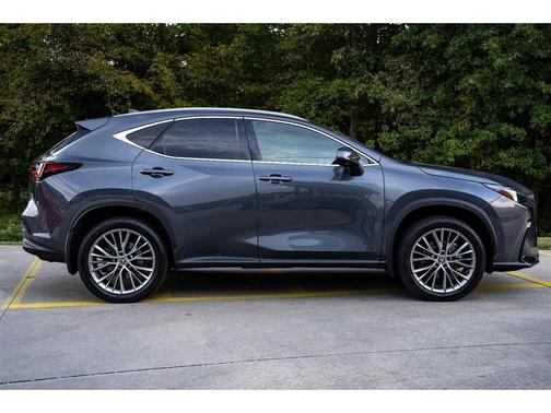2024 Lexus NX 350h Luxury