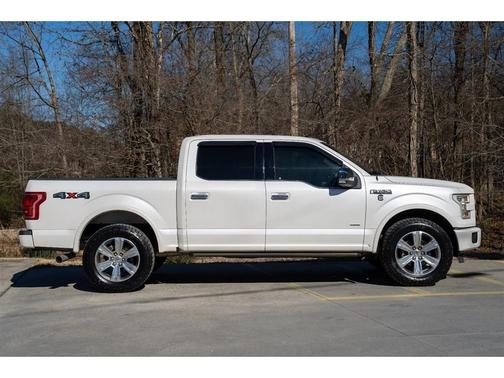 2015 Ford F-150 Platinum