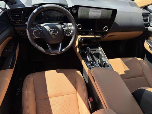 Nori Green Pearl 2025 Lexus NX 250 Premium