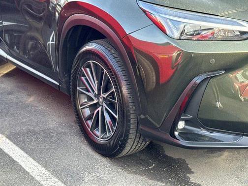 Nori Green Pearl 2025 Lexus NX 250 Premium