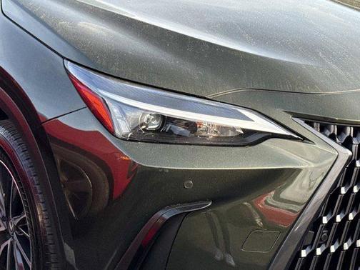Nori Green Pearl 2025 Lexus NX 250 Premium