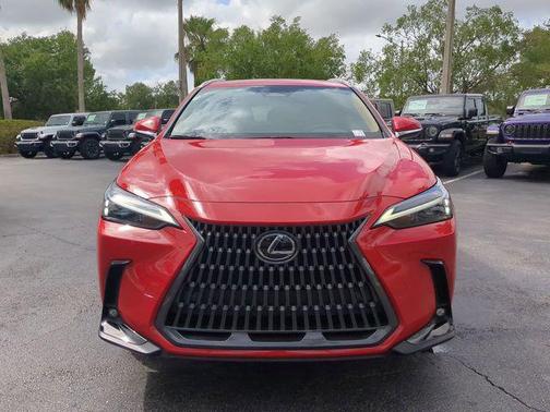 Dark Gray Metallic 2025 Lexus NX 250 Premium
