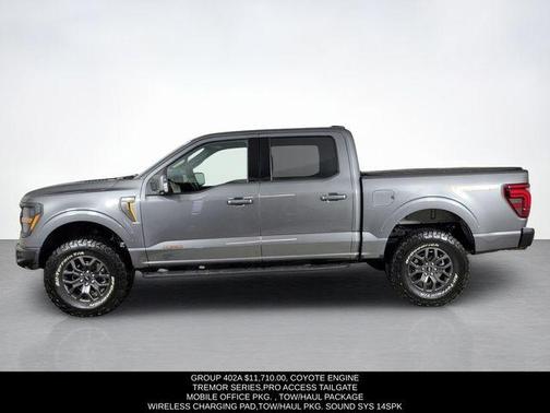 Gray Metallic 2025 Ford F-150 Tremor