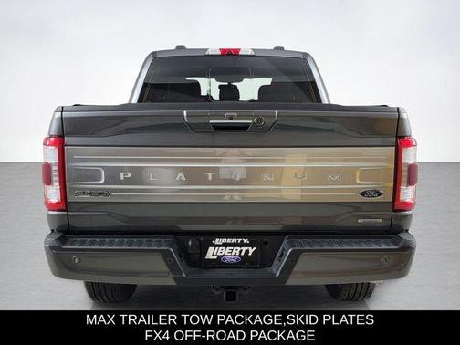 Gray Metallic 2022 Ford F-150 Platinum
