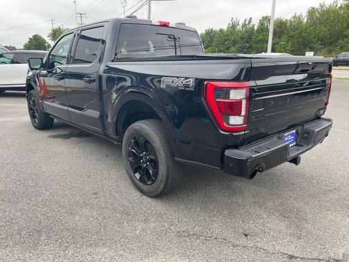 Black Metallic 2022 Ford F-150 Platinum