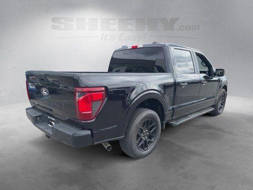 Agate Black Metallic 2025 Ford F-150 STX