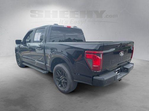 Agate Black Metallic 2025 Ford F-150 STX