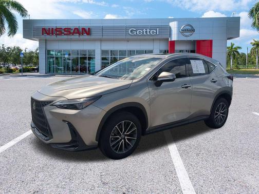 2025 Lexus NX 250 Base