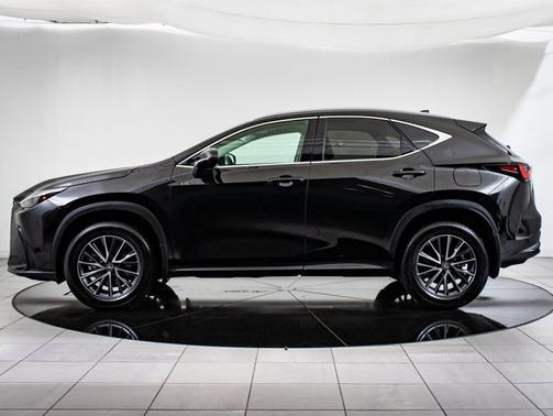 2025 Lexus NX 350 NX 350