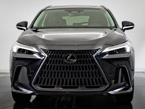 2025 Lexus NX 350 NX 350