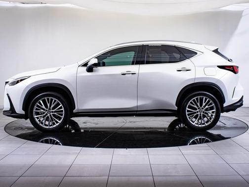 2024 Lexus NX 350 Luxury