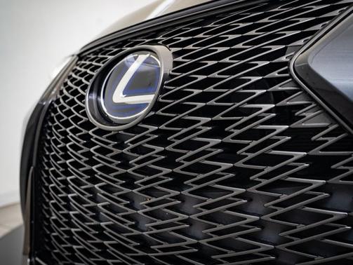 2019 Lexus UX 250h F Sport