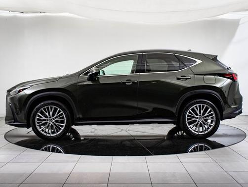 2025 Lexus NX 350h NX 350h Premium