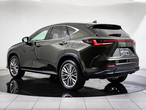 2025 Lexus NX 350h NX 350h Premium