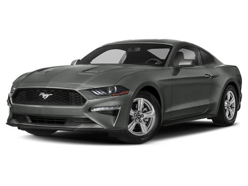 Magnetic Metallic 2019 Ford Mustang EcoBoost Premium