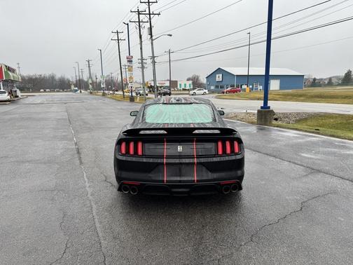 2019 Ford Shelby GT350 Base