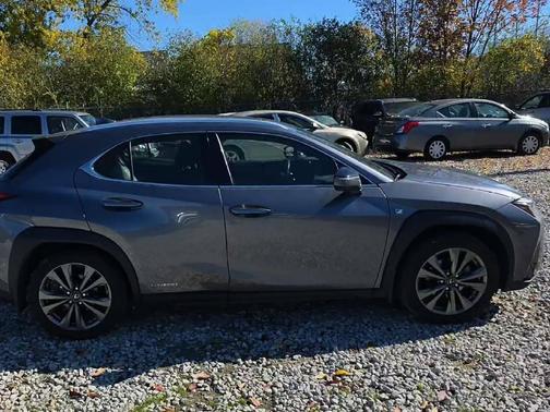 2020 Lexus UX 250h F Sport