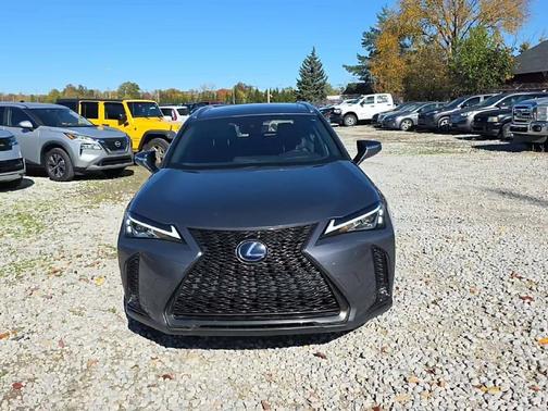 2020 Lexus UX 250h F Sport
