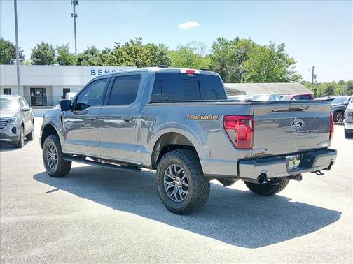 Gray Metallic 2025 Ford F-150 Tremor