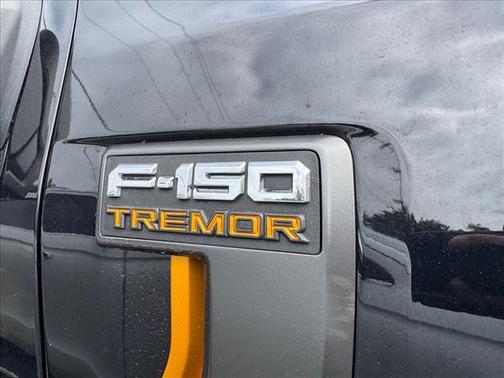 Black Metallic 2022 Ford F-150 Tremor
