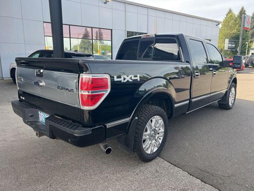 Black Clearcoat 2009 Ford F-150 Platinum