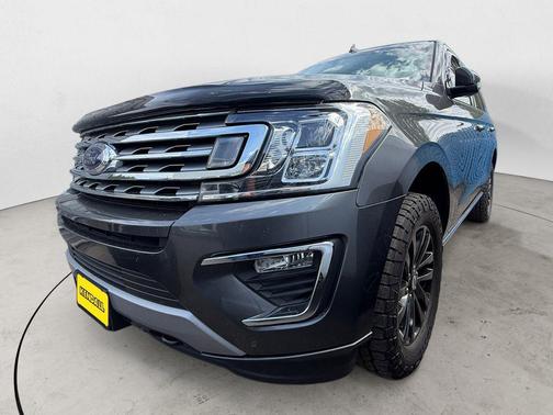 Magnetic 2020 Ford Expedition Limited
