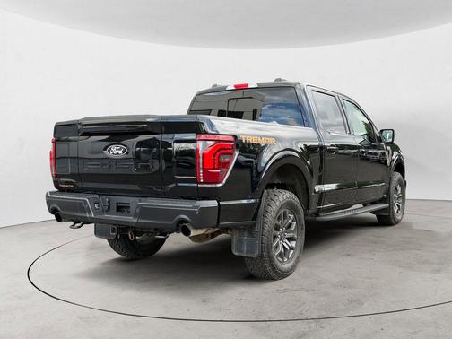Agate Black Metallic 2025 Ford F-150 Tremor