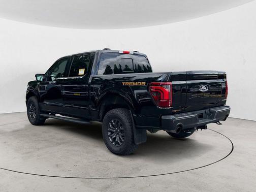 Agate Black Metallic 2025 Ford F-150 Tremor