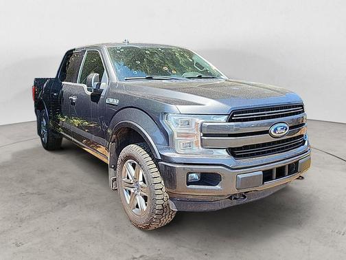 Magnetic 2019 Ford F-150 Lariat