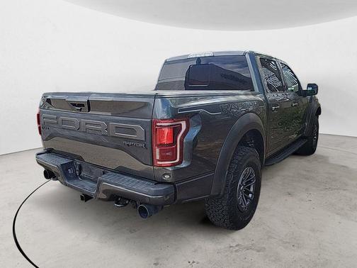 Magnetic 2019 Ford F-150 Raptor