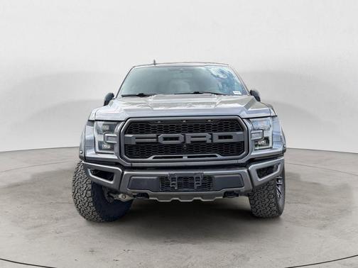 Magnetic 2019 Ford F-150 Raptor
