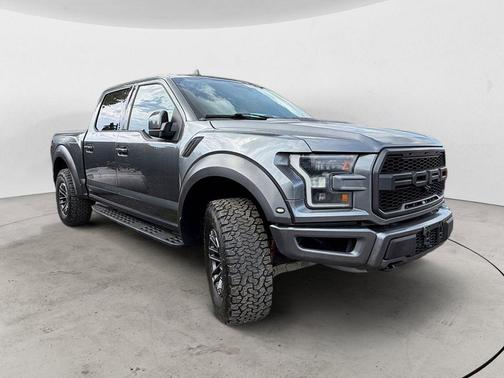 Magnetic 2019 Ford F-150 Raptor