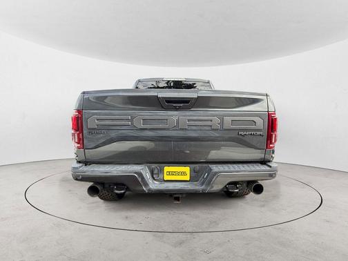 Magnetic 2019 Ford F-150 Raptor