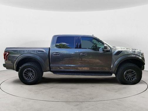 Magnetic 2019 Ford F-150 Raptor
