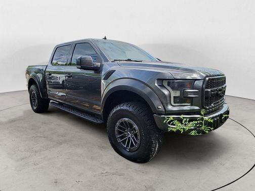 Magnetic 2019 Ford F-150 Raptor
