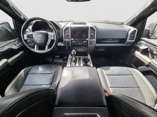 Magnetic 2019 Ford F-150 Raptor