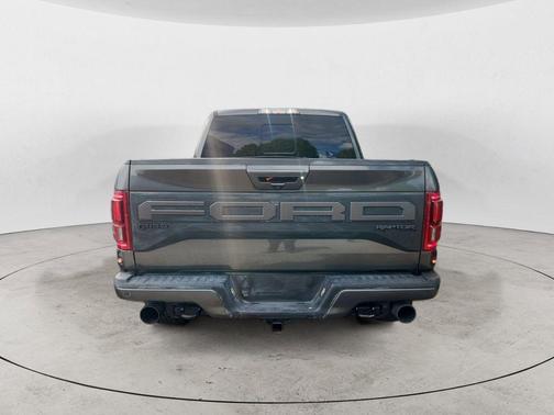 Magnetic 2019 Ford F-150 Raptor