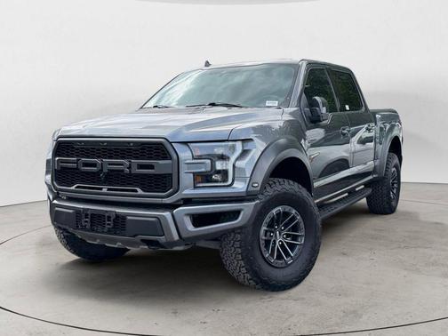 Magnetic 2019 Ford F-150 Raptor