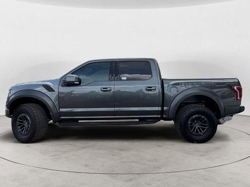 Magnetic 2019 Ford F-150 Raptor