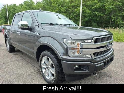 Magnetic 2018 Ford F-150 Platinum