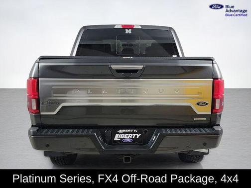 Magnetic 2018 Ford F-150 Platinum