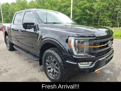 Agate Black Metallic 2023 Ford F-150 Tremor