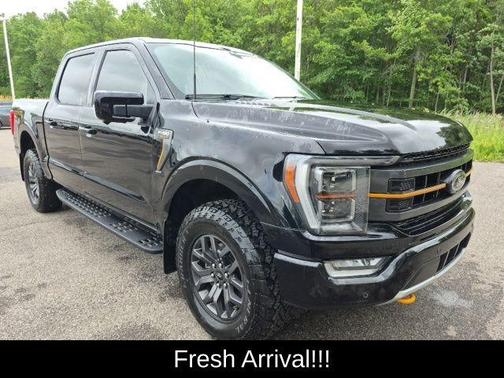 Agate Black Metallic 2023 Ford F-150 Tremor